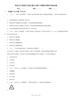 呼倫貝爾市新巴爾虎左旗九年級下學期化學期中考試試卷