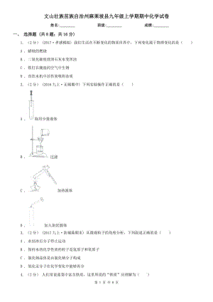 文山壯族苗族自治州麻栗坡縣九年級上學(xué)期期中化學(xué)試卷