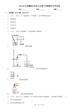 樂山市馬邊彝族自治縣九年級下學期期中化學試卷