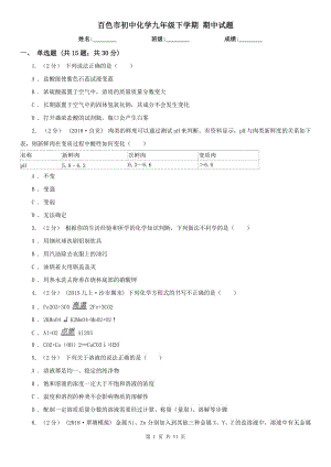 百色市初中化學九年級下學期 期中試題