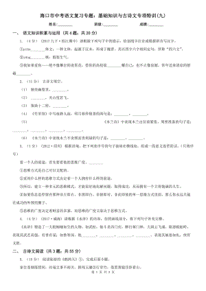 海口市中考語文復(fù)習(xí)專題：基礎(chǔ)知識與古詩文專項特訓(xùn)(九)