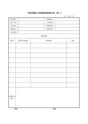 結(jié)構(gòu)混凝土表觀缺陷檢測(cè)記錄