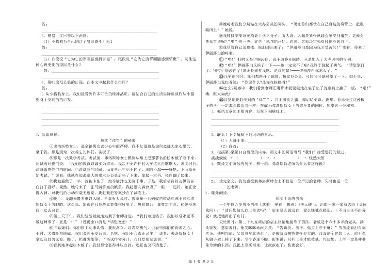 文山壮族苗族自治州重点小学小升初语文提升训练试题 附答案.doc_第3页