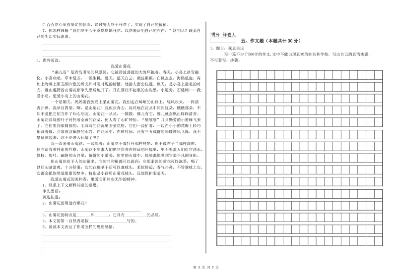 揭阳市重点小学小升初语文强化训练试卷 含答案.doc_第3页