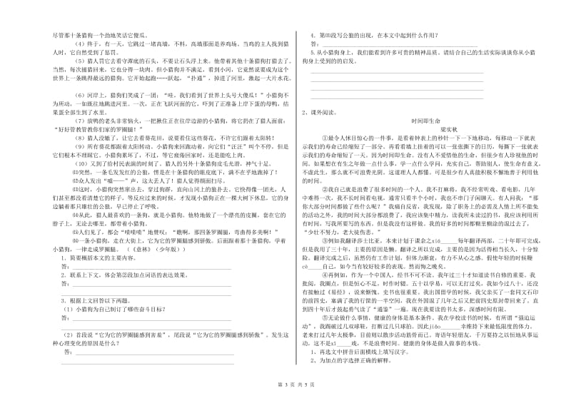 宣城市重点小学小升初语文综合练习试题 含答案.doc_第3页