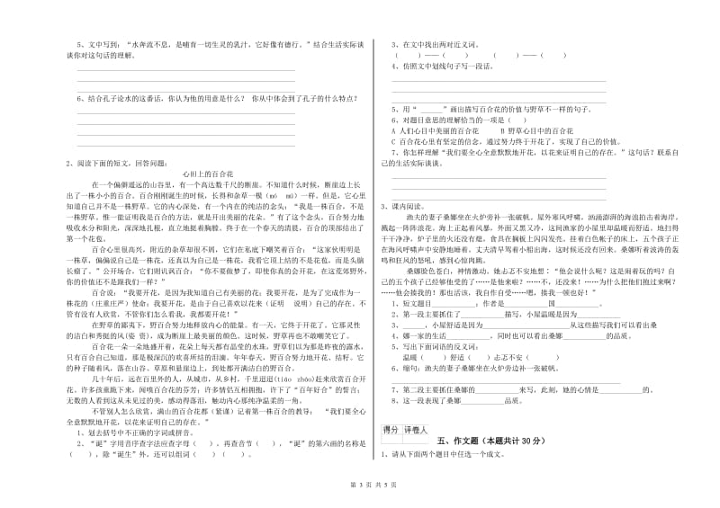 拉萨市重点小学小升初语文强化训练试卷 附解析.doc_第3页