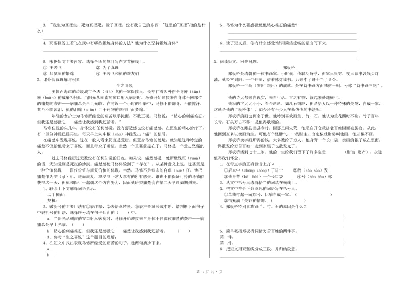 德阳市重点小学小升初语文提升训练试卷 附答案.doc_第3页