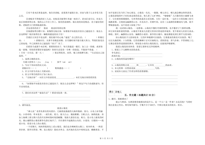 文山壮族苗族自治州重点小学小升初语文全真模拟考试试题 含答案.doc_第3页