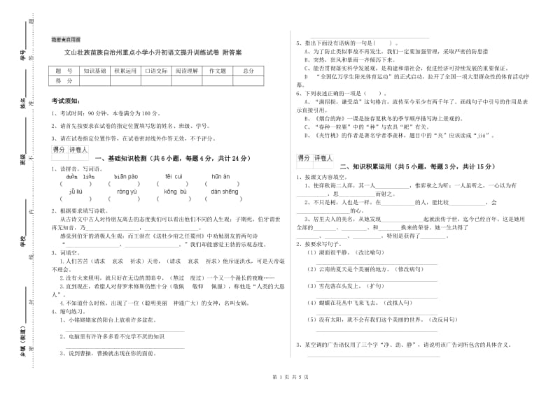 文山壮族苗族自治州重点小学小升初语文提升训练试卷 附答案.doc_第1页