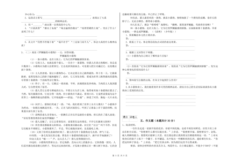 延边朝鲜族自治州重点小学小升初语文能力检测试卷 附答案.doc_第3页