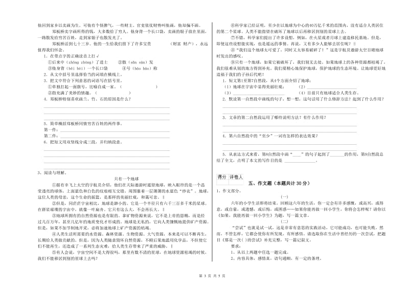 朔州市重点小学小升初语文综合检测试卷 附答案.doc_第3页