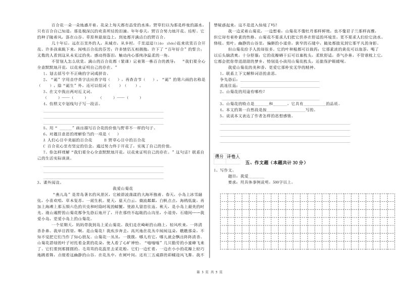 毕节市重点小学小升初语文模拟考试试卷 含答案.doc_第3页