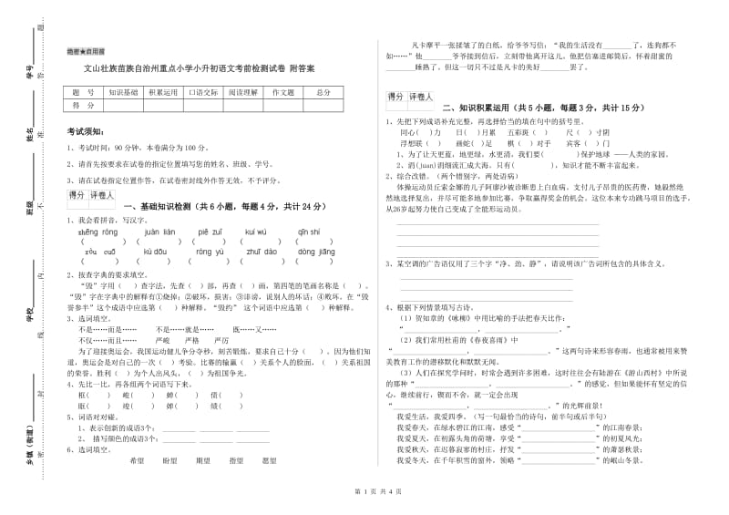 文山壮族苗族自治州重点小学小升初语文考前检测试卷 附答案.doc_第1页