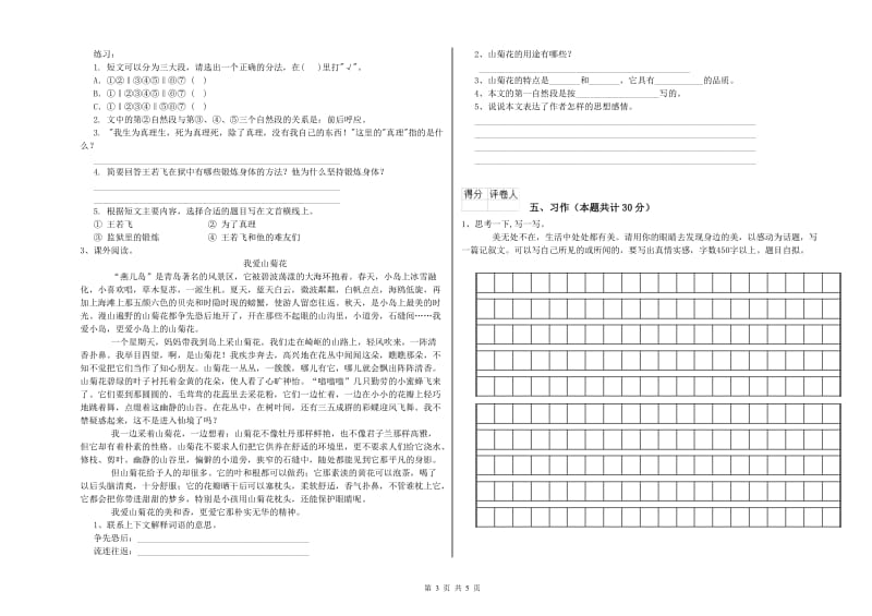 揭阳市实验小学六年级语文【下册】过关检测试题 含答案.doc_第3页