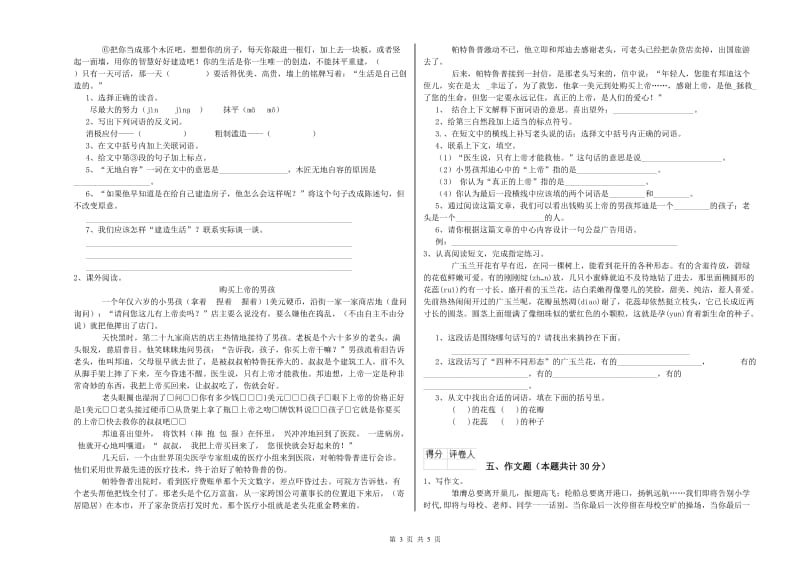 开封市重点小学小升初语文能力测试试卷 附解析.doc_第3页