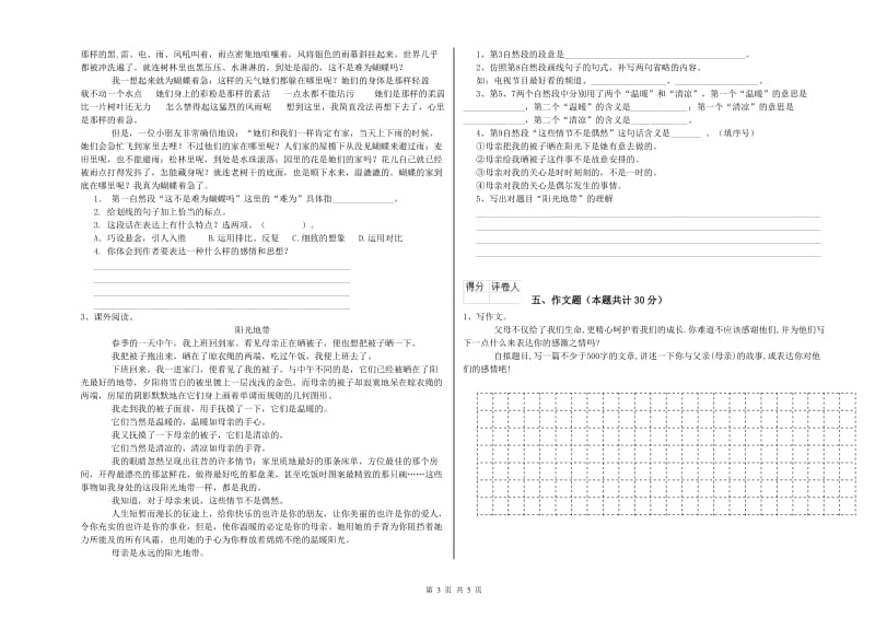 廊坊市重点小学小升初语文强化训练试题 附解析.doc_第3页