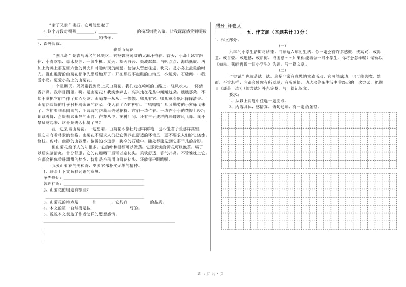 常州市重点小学小升初语文能力检测试题 附解析.doc_第3页