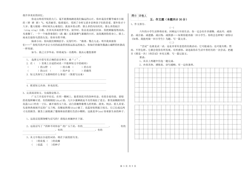 惠州市重点小学小升初语文自我检测试卷 附解析.doc_第3页