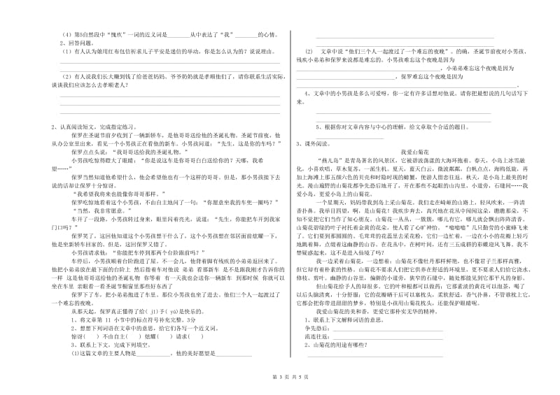 枣庄市重点小学小升初语文强化训练试卷 附答案.doc_第3页