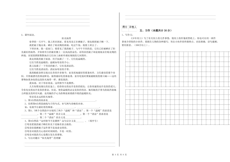 扬州市实验小学六年级语文【下册】过关检测试题 含答案.doc_第3页