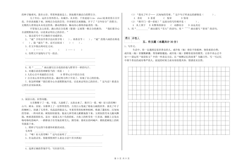 昭通市重点小学小升初语文提升训练试题 附解析.doc_第3页