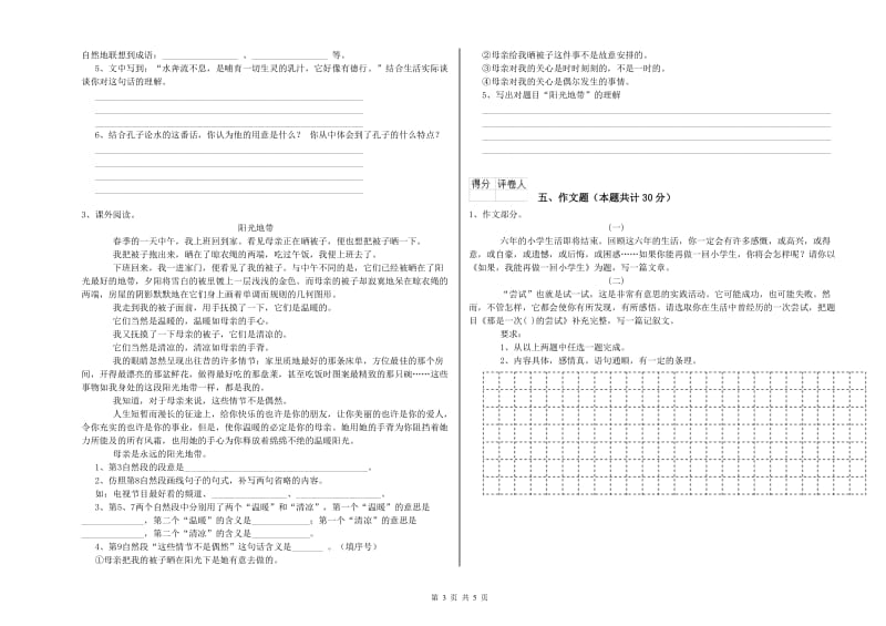 武汉市重点小学小升初语文过关检测试卷 附解析.doc_第3页