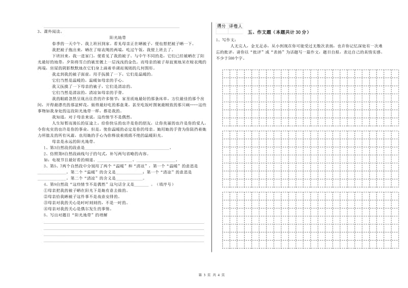 山东省小升初语文全真模拟考试试卷C卷 含答案.doc_第3页