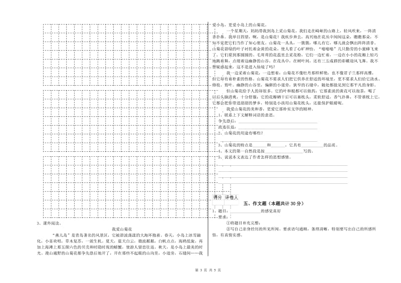 平顶山市重点小学小升初语文能力测试试卷 含答案.doc_第3页