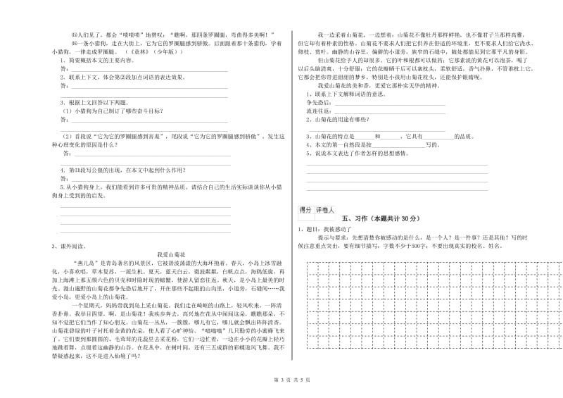 毕节市实验小学六年级语文下学期模拟考试试题 含答案.doc_第3页