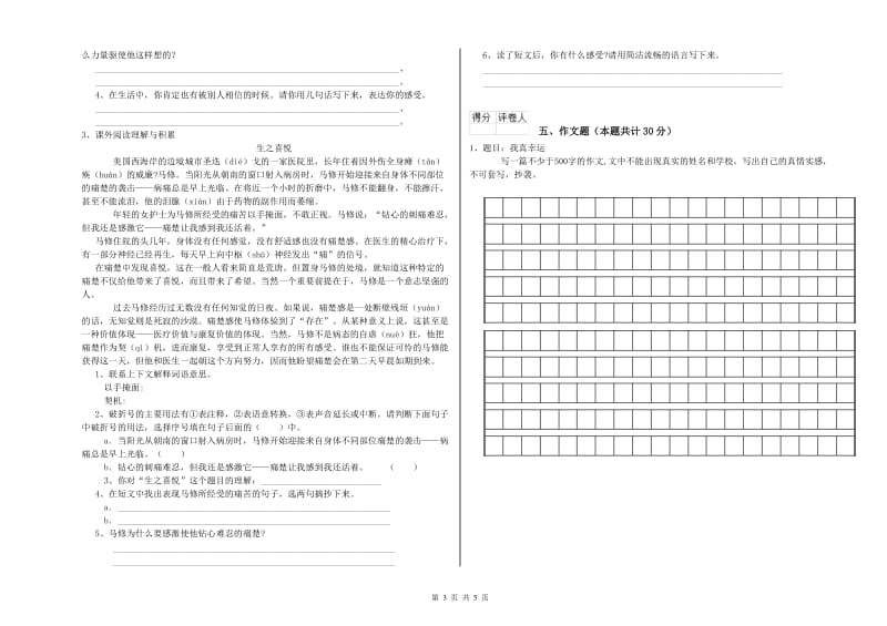 汕尾市重点小学小升初语文考前练习试卷 附答案.doc_第3页