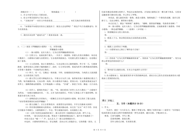 实验小学六年级语文下学期期中考试试题 新人教版（含答案）.doc_第3页