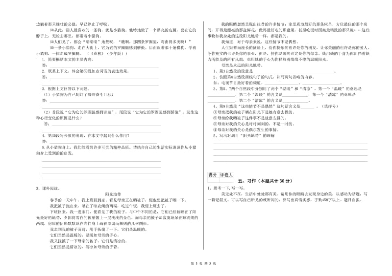 实验小学六年级语文【下册】全真模拟考试试题 湘教版（含答案）.doc_第3页