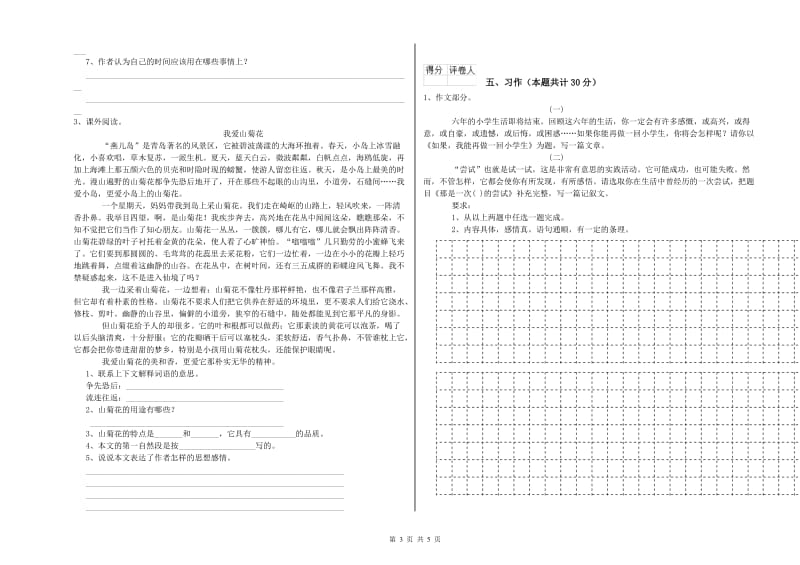 延边朝鲜族自治州实验小学六年级语文【下册】考前练习试题 含答案.doc_第3页