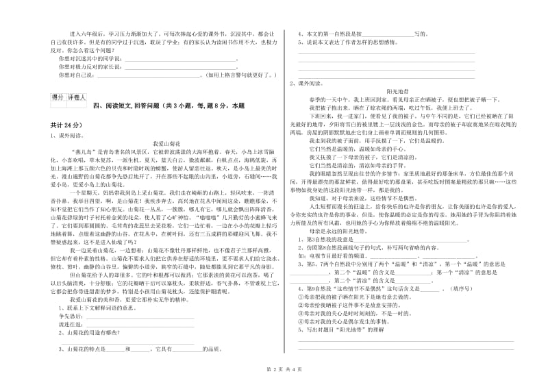 忻州市实验小学六年级语文下学期过关检测试题 含答案.doc_第2页