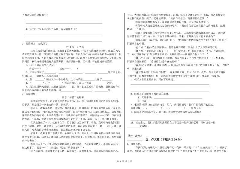 张家口市重点小学小升初语文能力提升试题 含答案.doc_第3页