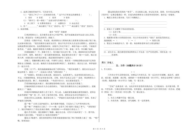 日照市实验小学六年级语文【下册】提升训练试题 含答案.doc_第3页