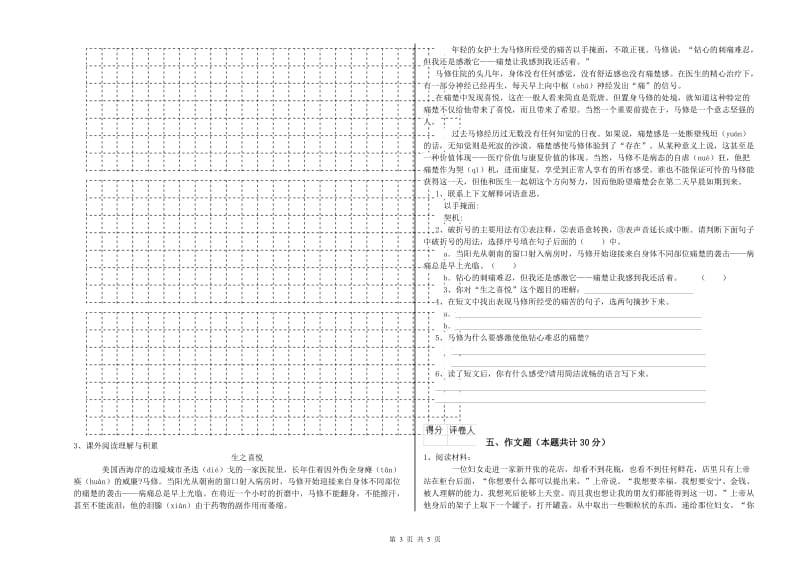 新余市重点小学小升初语文综合练习试题 附解析.doc_第3页