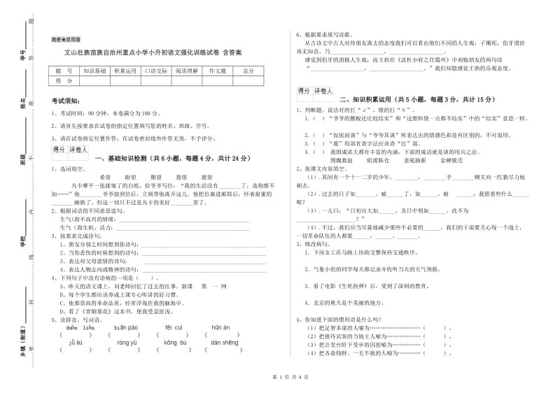 文山壮族苗族自治州重点小学小升初语文强化训练试卷 含答案.doc_第1页