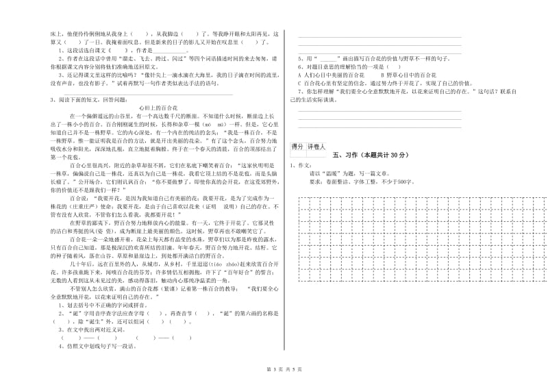 实验小学六年级语文下学期考前检测试卷 新人教版（含答案）.doc_第3页