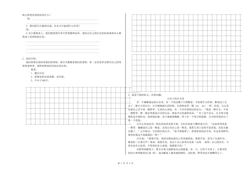 扬州市重点小学小升初语文模拟考试试题 附答案.doc_第3页