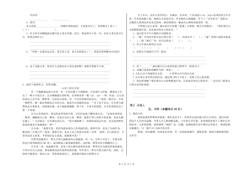 毕节市实验小学六年级语文下学期全真模拟考试试题 含答案.doc_第3页