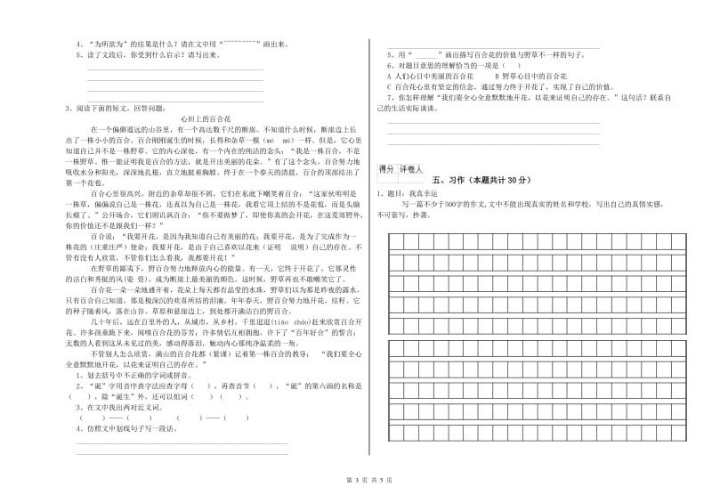 宿迁市实验小学六年级语文下学期自我检测试题 含答案.doc_第3页