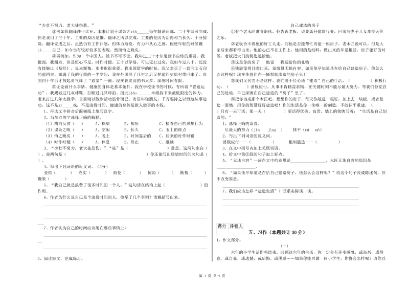 实验小学六年级语文【下册】自我检测试卷 浙教版（附解析）.doc_第3页