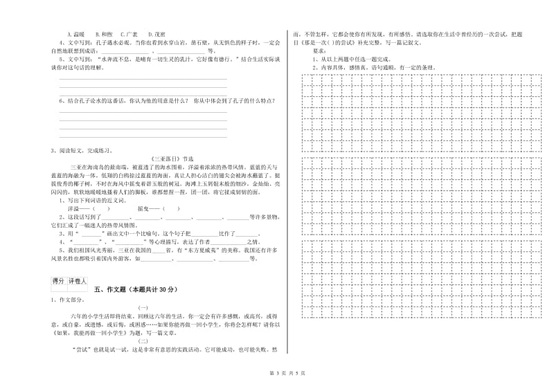 山东省小升初语文模拟考试试卷A卷 含答案.doc_第3页