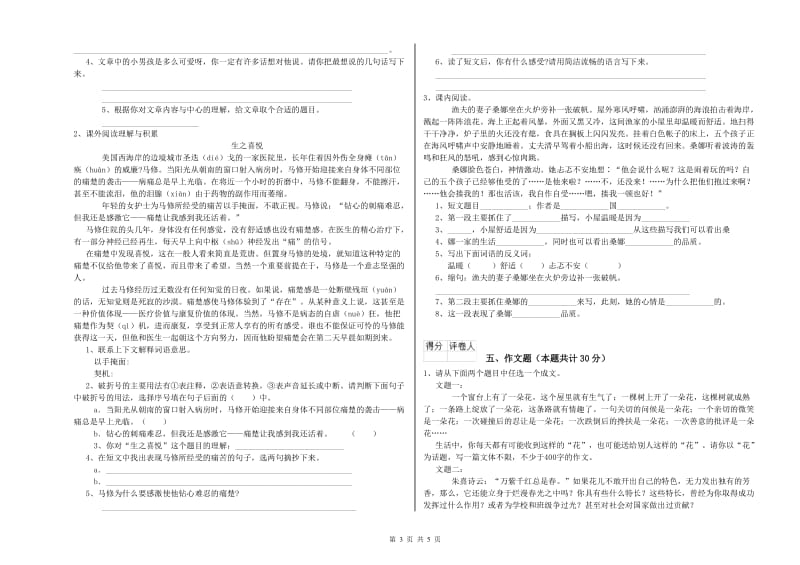 松原市重点小学小升初语文过关检测试卷 附解析.doc_第3页