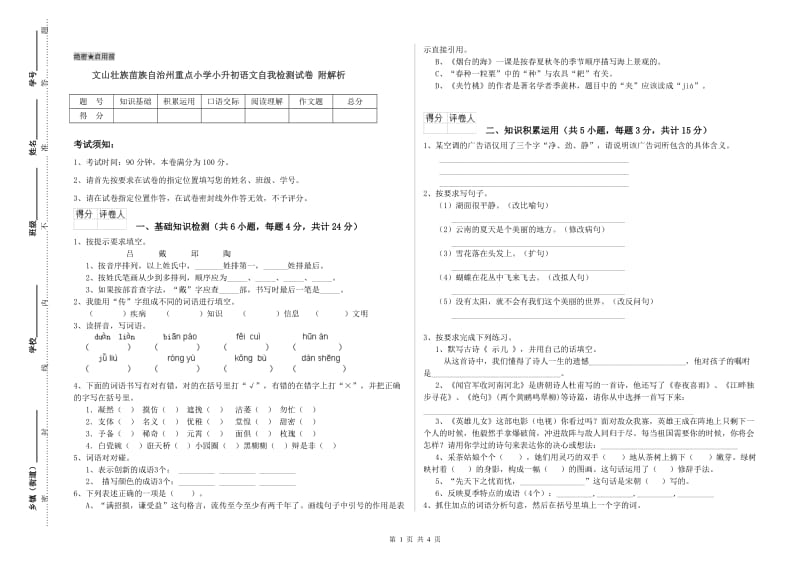 文山壮族苗族自治州重点小学小升初语文自我检测试卷 附解析.doc_第1页