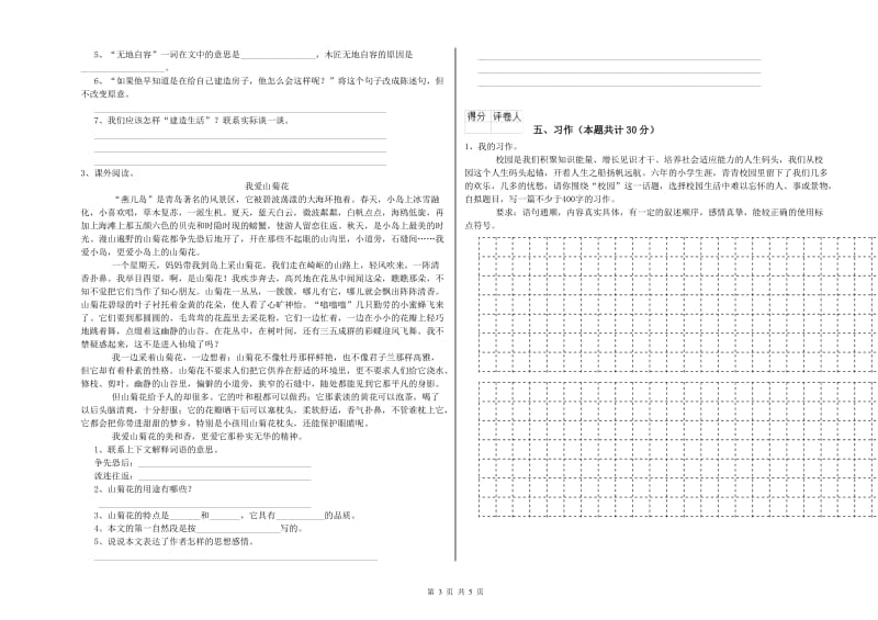 实验小学六年级语文【下册】综合练习试卷 上海教育版（附答案）.doc_第3页