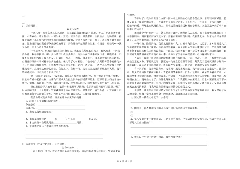 广州市重点小学小升初语文能力提升试题 附解析.doc_第3页
