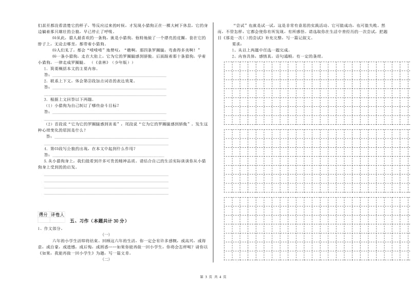 平顶山市实验小学六年级语文下学期综合练习试题 含答案.doc_第3页