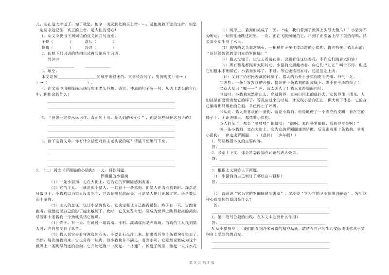 汕尾市实验小学六年级语文下学期综合检测试题 含答案.doc_第3页